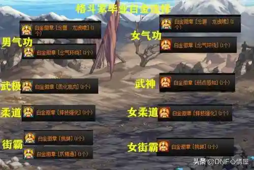 dnf剑魂徽章(剑魂左右槽白金徽章)插图3