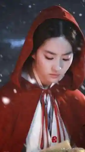 宫廷斗篷搭配阵容图片女士(古装披风斗篷女)插图28