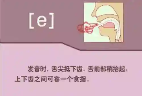英语音标发音表(48个音标大全表图片)插图18