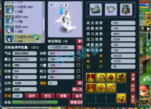 梦幻109最新阵容搭配(梦幻109五开组合最新推荐)插图16