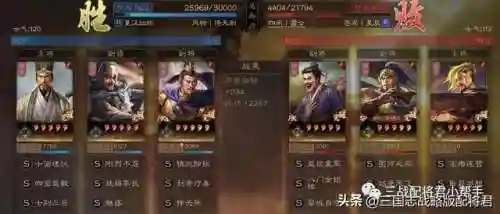 恶狼搭配阵容推荐王者英雄(狼狗怕什么英雄)插图7