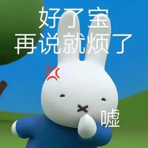 偷心盗贼搭配阵容推荐图片(偷心盗贼是什么意思)插图12