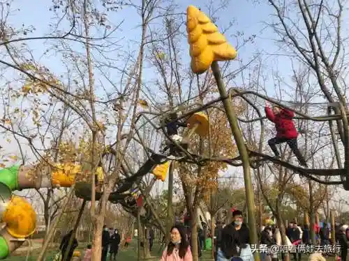 洛克王国紫藤快速获得(洛克王国紫藤150怎么弄)插图55