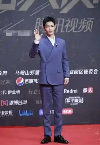 星光红毯阵容搭配图片(明星红毯造型图片)插图13