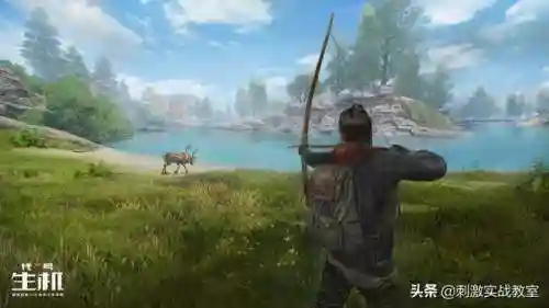 代号生机什么时候上线(代号生机之前叫什么名字)插图2