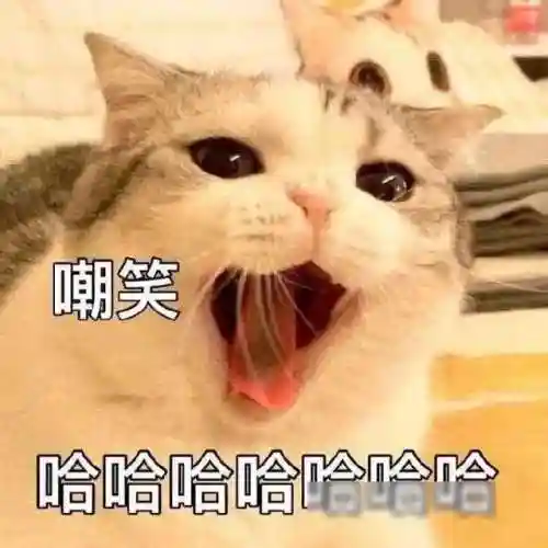 祖传水枪阵容怎么搭配最好(豪侠枪手配什么阵容装备)插图65