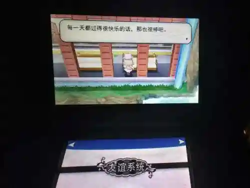 口袋妖怪黑白一周目图文攻略(pokemmo黑白一周目攻略)插图9