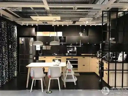 洛克号储物仓的宠物怎么捕捉(洛克号储物仓百科)插图18