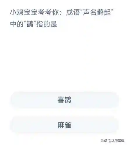 今天的小鸡答题正确答案是什么(蚂蚁庄园今日正确答案怎么获得)插图2