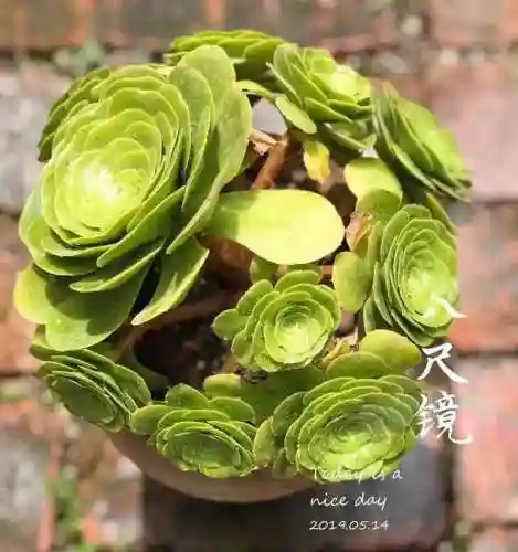 法师最牛最霸气名字(一眼就看出是玩法师的ID)插图39