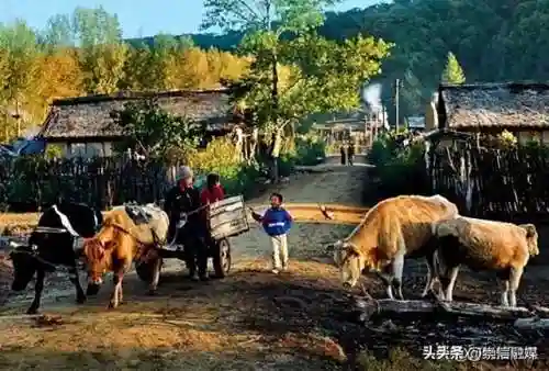 公社斗地主(公社斗地主2024最新版)
