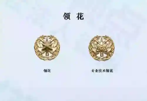 火焰家族阵容推荐搭配攻略(火毒队阵容搭配)插图9 火焰家族阵容推荐搭配攻略(火毒队阵容搭配)插图9