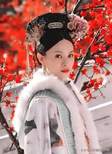 宫廷斗篷搭配阵容图片女士(古装披风斗篷女)插图7