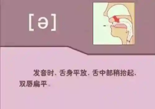 英语音标发音表(48个音标大全表图片)插图15