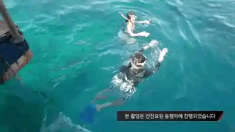 恋爱捕手2阵容搭配(骰子猎人阵容搭配推荐)插图5