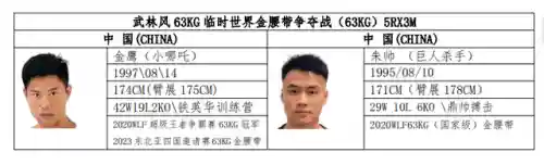 格斗者阵容搭配(新版本6斗士阵容)插图3