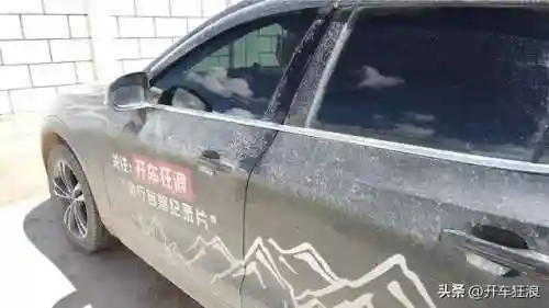 洛克王国花脸竹(洛克王国紫藤150怎么弄)插图27