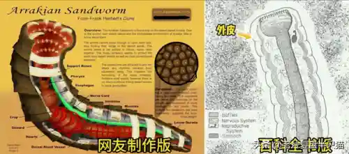 迷你世界沙虫第二形态(迷你世界被删除的Boss)插图6