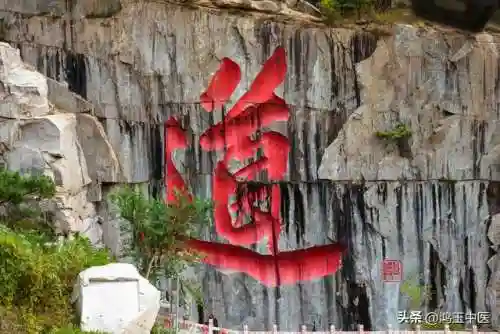 九真伤阵容搭配(新版九五至尊阵容)插图3