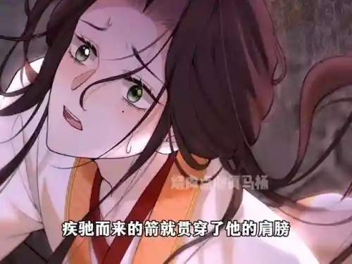 凤凰心计侍卫阵容搭配(宫廷计最强阵容搭配)插图3