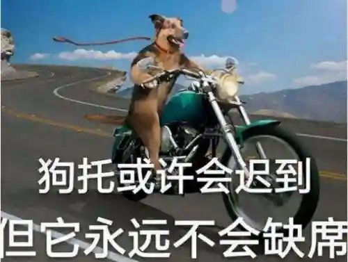 鸿图之下庞德阵容搭配(鸿图之下庞德值得培养吗)插图13