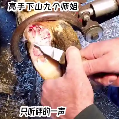 神龙霸体决(九星霸体诀TXT全本)插图6