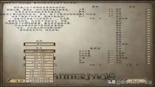 骑马与砍杀战团隐藏商店(骑马与砍杀战团最佳妻子)插图2