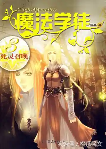 魔法小说十大巅峰之作(十大必看完结魔法小说)插图1
