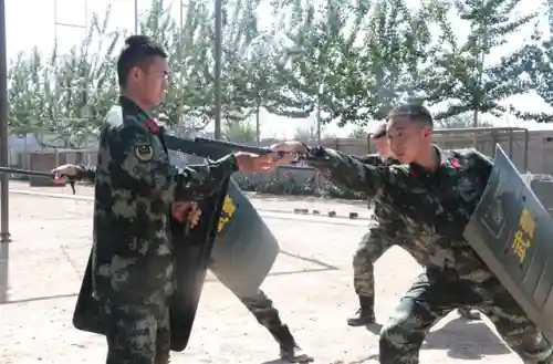 武艺夺命盾牌阵容搭配(郝昭反击盾阵容搭配推荐)插图4