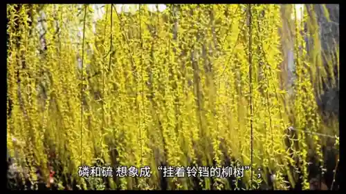 记忆宫殿怎么搭配阵容(幻境试炼阵容搭配攻略)插图1