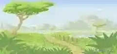 口袋妖怪水晶攻略(gbc口袋水晶攻略图文)插图7