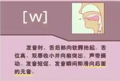 英语音标发音表(48个音标大全表图片)插图54