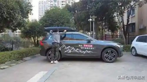 洛克王国花脸竹(洛克王国紫藤150怎么弄)插图14