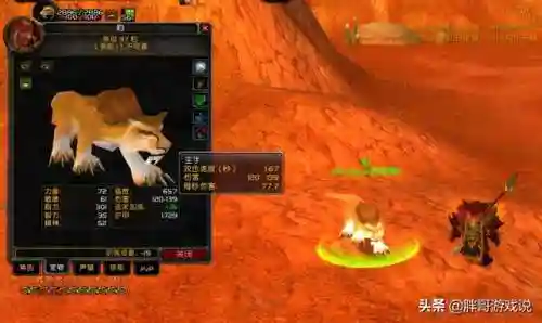 拉怪最稳的猎人宝宝(60级猎人宝宝大全带图)插图6