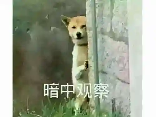 流放方舟阵容搭配推荐(流放之路和命运方舟哪个好玩)插图1