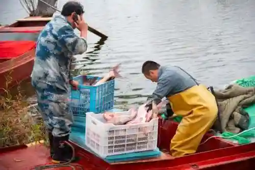 2023最新捕鱼(捕鱼游戏哪个最火)