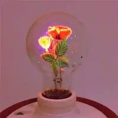 简单干净好看头像图片(2024带来好运的头像)插图11