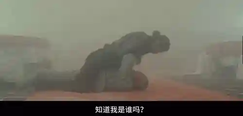 电车之狼3复仇简介(复仇笔记女主)插图16