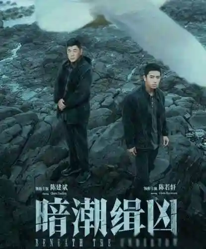 迷雾花园搭配阵容最新(邂逅在迷宫平民最强阵容)插图7