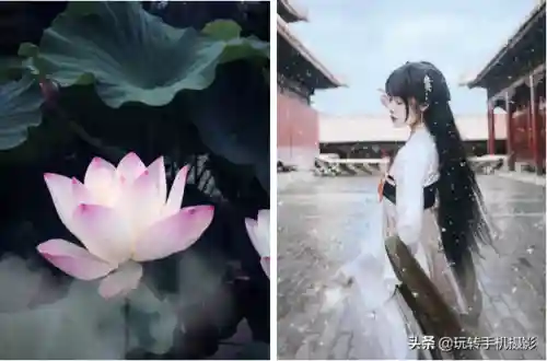 照片修图软件哪个好用(照片修图软件免费版)插图11 照片修图软件哪个好用(照片修图软件免费版)插图11