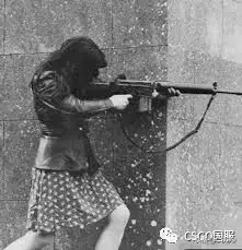 凤凰战士阵容搭配图片(斗罗大陆火凤凰阵容搭配)插图27
