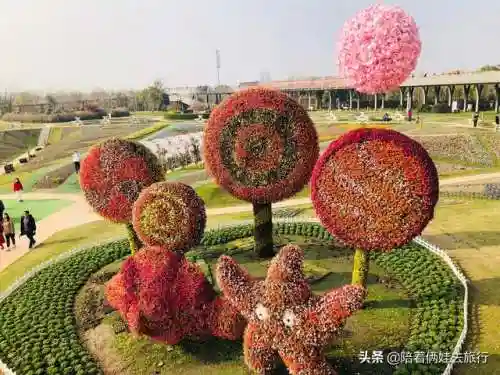 洛克王国紫藤快速获得(洛克王国紫藤150怎么弄)插图36