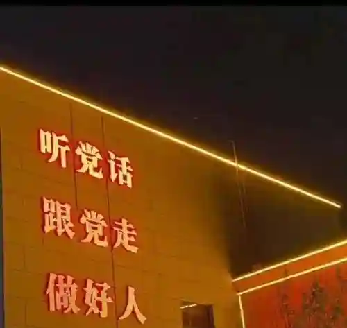 部落爱国阵容怎么搭配(部落冲突部队搭配)插图4