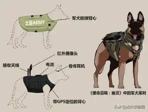 使命召唤10全流程图文攻略(使命召唤10任务列表)插图3