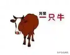 猜图游戏题目(比划我猜题目)插图5