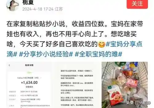 小说抄写员兼职(番茄小说打字录入员)插图7