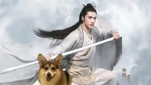 封神传说最强阵容搭配(封神英杰传人物培养攻略)插图18
