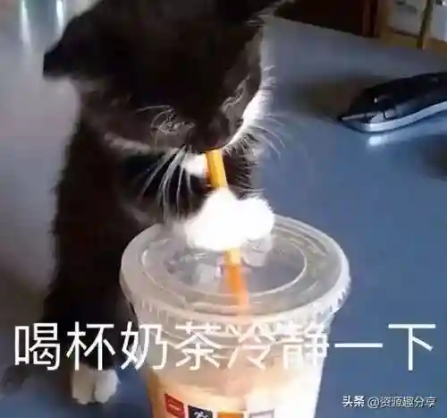 40个顶级搞笑笑话(积极向上正能量的幽默笑话)