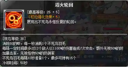 冒险岛炎术士技能介绍(冒险岛炎术士强在哪里)插图65