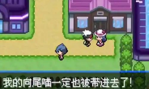 神奇宝贝究极绿宝石(究极绿宝石5.5下载安装手机版)插图39